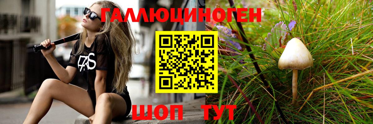 Псилоцибиновые грибы Magic Shrooms  Псилоцибиновые грибы мицелий  Вход с VPN  Новочеркасск 